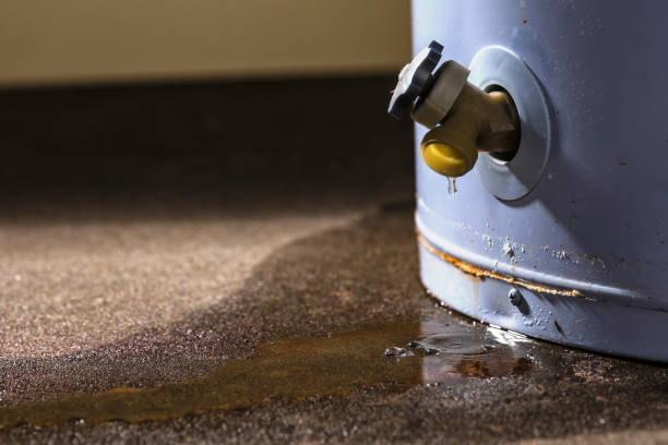 Best 24/7 water damage repair  in Sutton Alpine, AK
