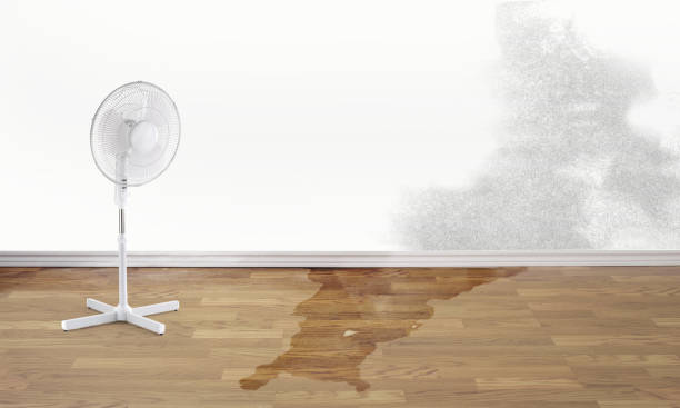 Best Sewage cleanup and water damage restoration  in Sutton Alpine, AK