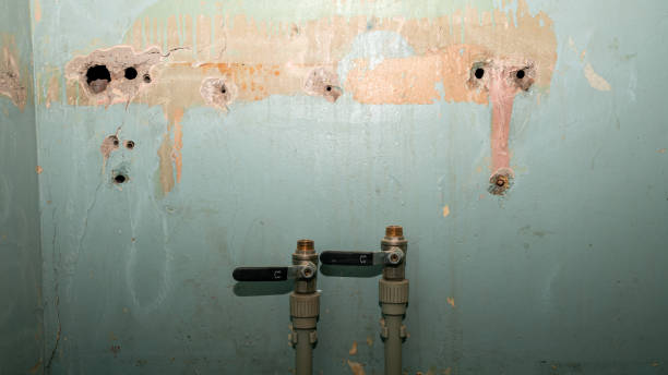 Best Professional water damage repair  in Sutton Alpine, AK
