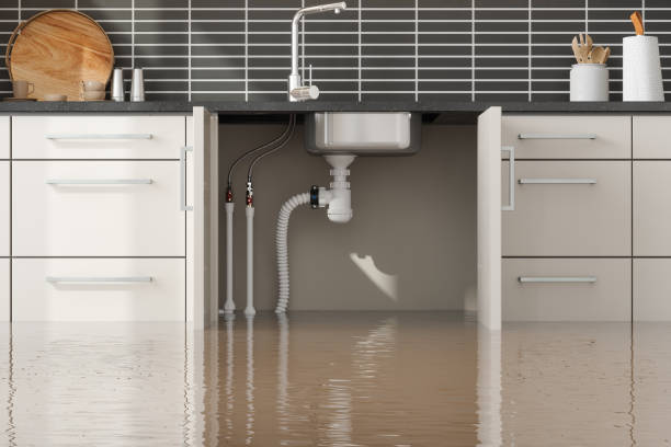 Best Water damage restoration near me  in Sutton Alpine, AK